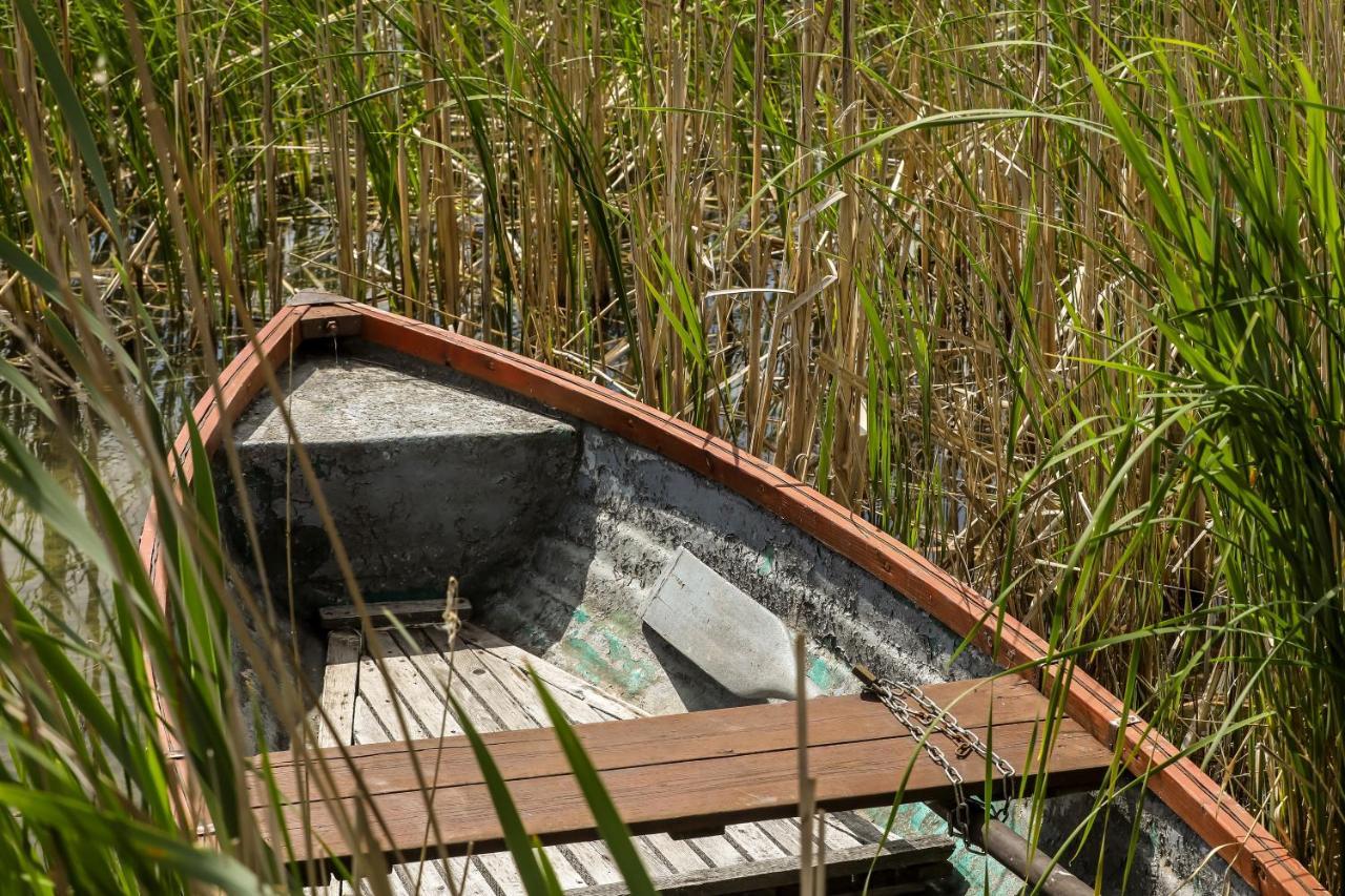 Fuzliget Surf Garden Διαμέρισμα Balatonfůzfő Εξωτερικό φωτογραφία