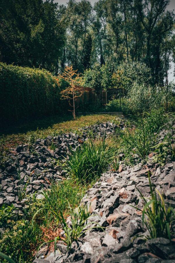 Fuzliget Surf Garden Διαμέρισμα Balatonfůzfő Εξωτερικό φωτογραφία